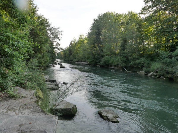 Saane bei Freiburg – Flusslandschaft