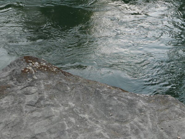 Felsufer an der Saane