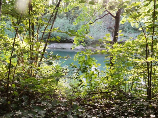Versteckter Uferweg an der Saane