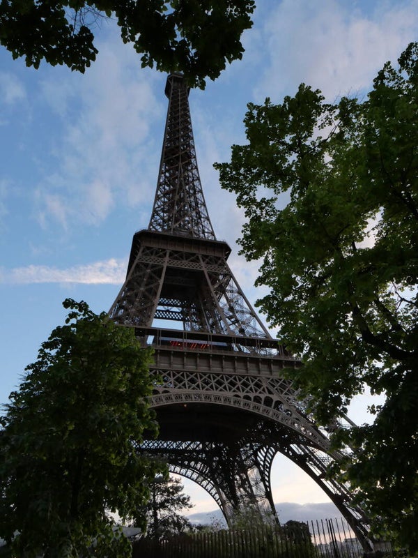 Eiffelturm zwischen Bäumen – Paris am Abend