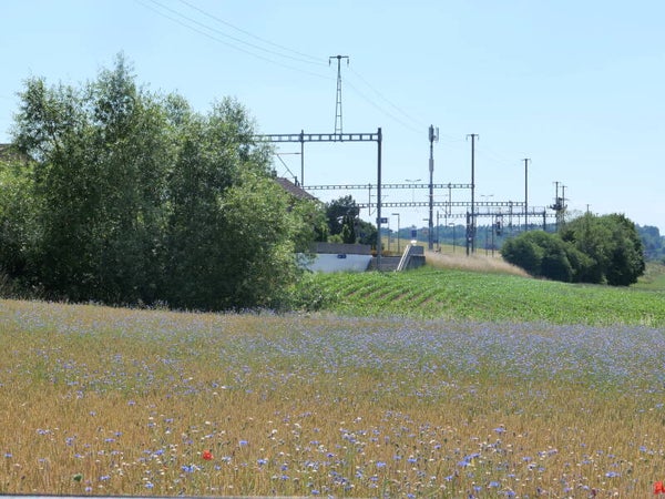 Landwirtschaft und Bahnlinie in der Schweiz