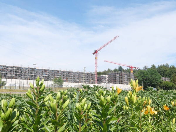 Zwischen Landwirtschaft und Bautätigkeit