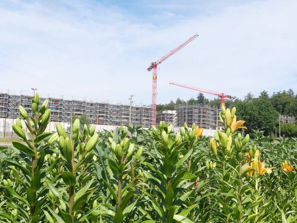 Zwischen Landwirtschaft und Bautätigkeit