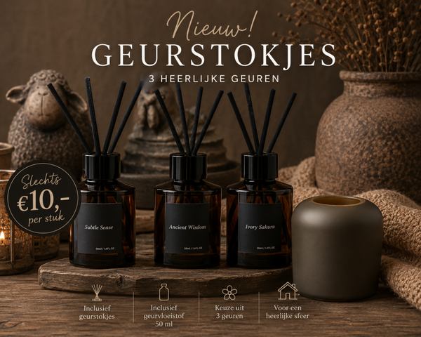Geurstokjes met decoratief vaasje – 50 ml