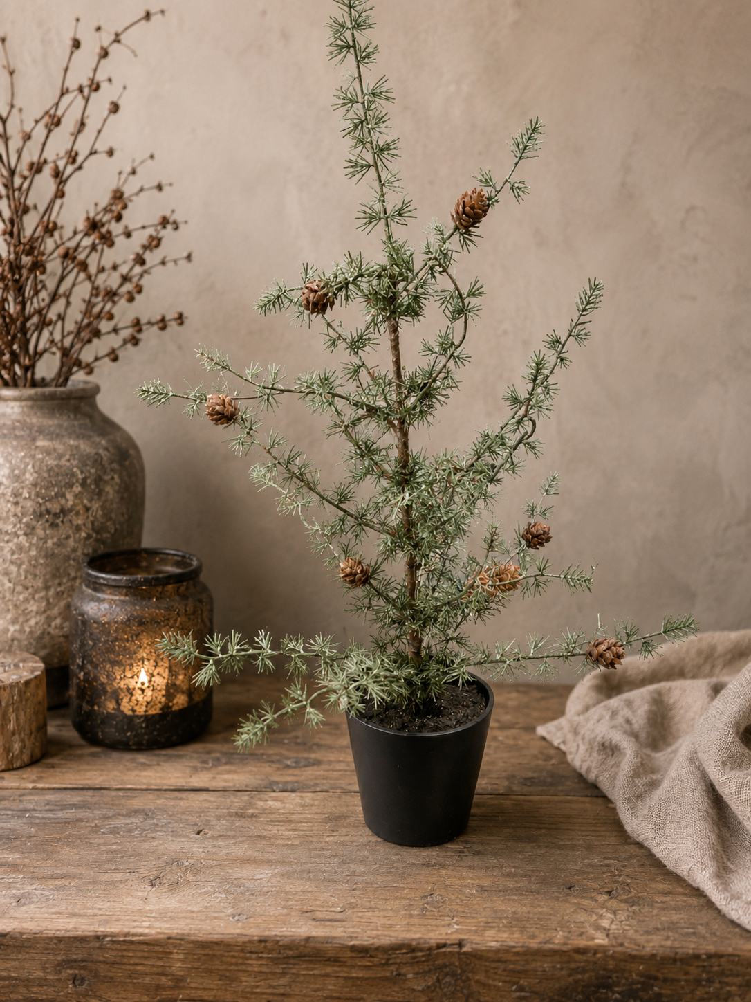 Ceder kerstboom