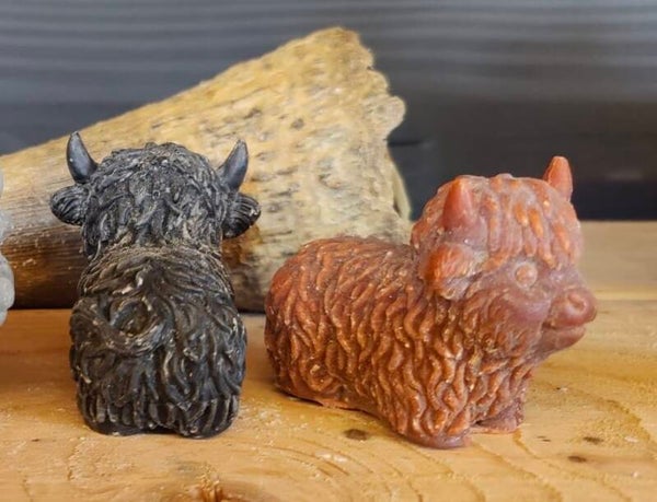 Geur hooglanders klein