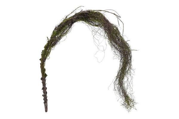 Bundel salim naturel/groen