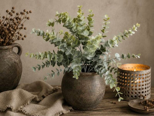 Eucalyptusstruik Grande Green – 50 cm