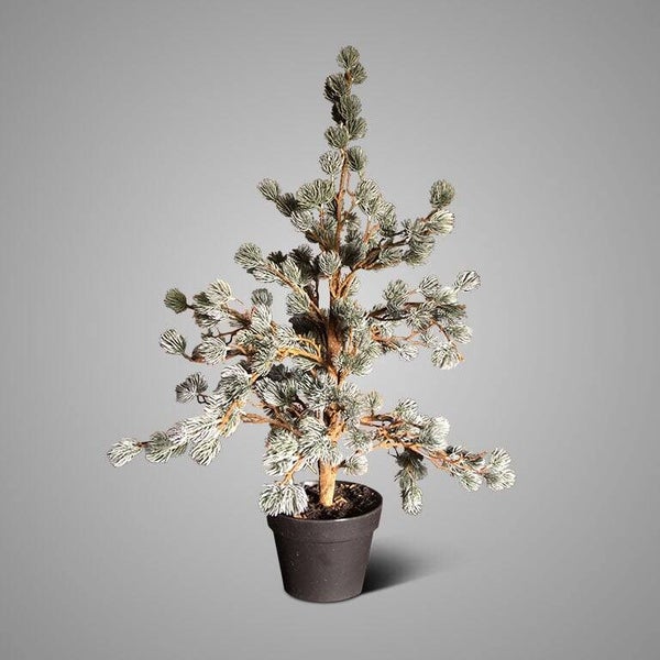 Brynxz Larix tree