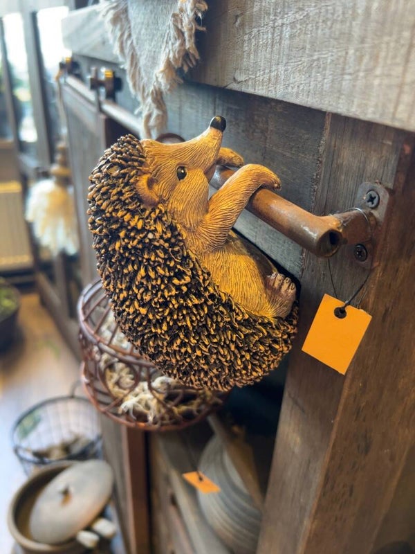Hangende egel