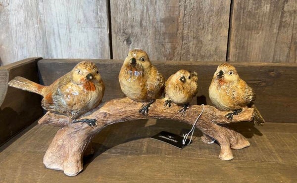 Vogeltjes op tak