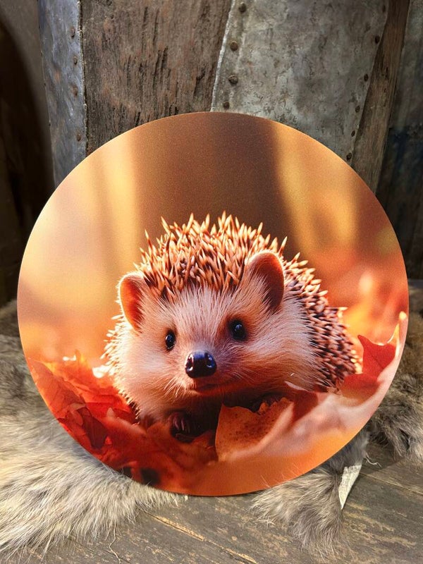 Muurcirkel Egel