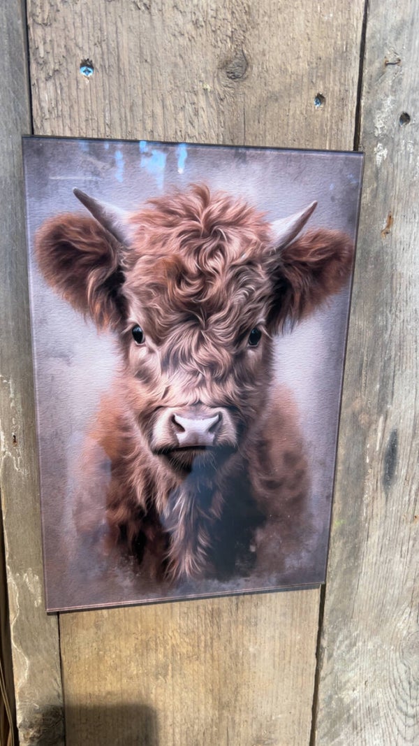 Glas schilderij hooglander