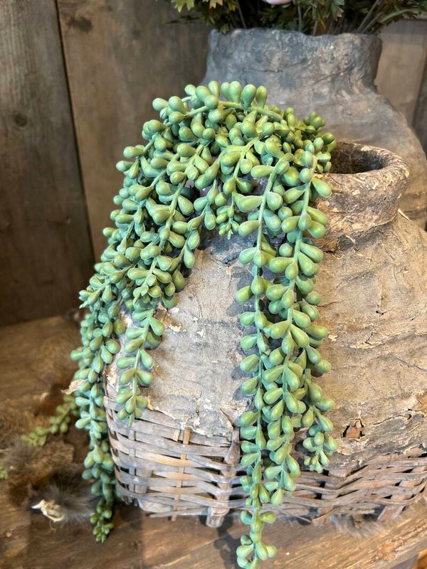 Brynxz hanger Garden Pea