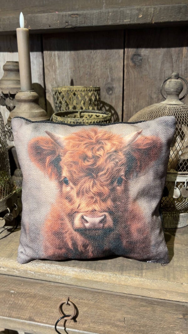 Sierkussen Schotse Hooglander – Landelijk – 25x25 cm & 45x45 cm