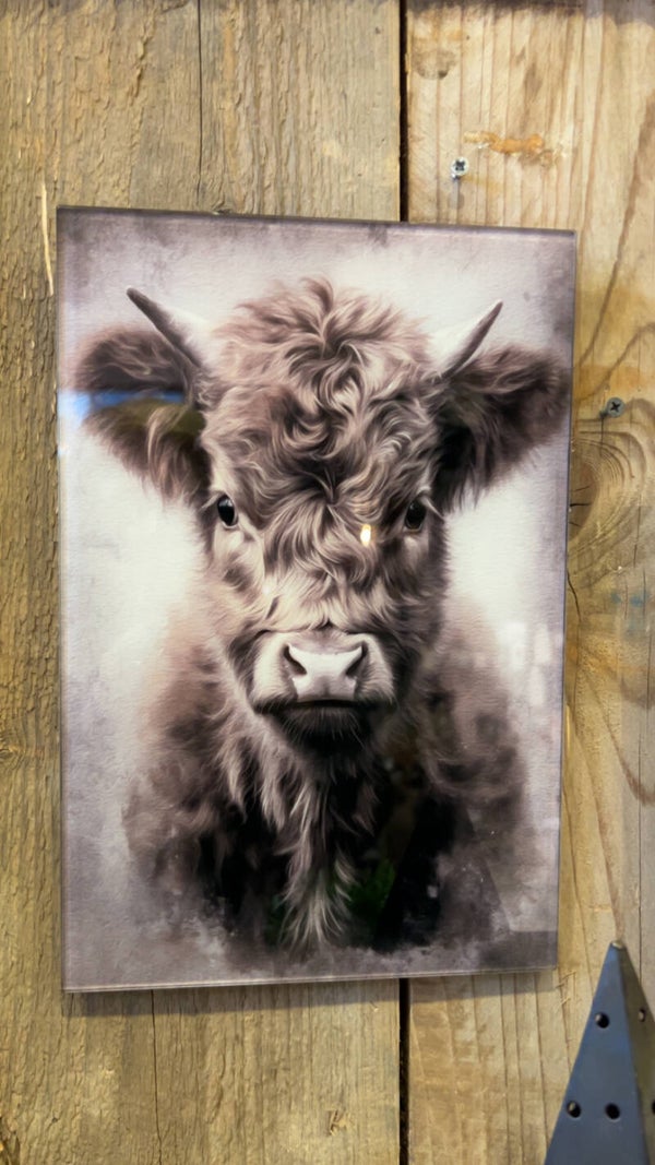 Wandpaneel Highlander – Glas