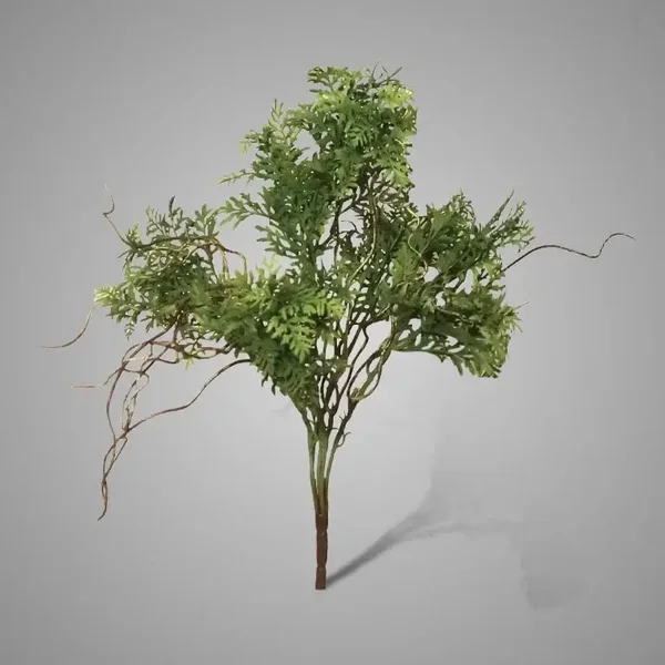 Ranunculus Twig Bush Green