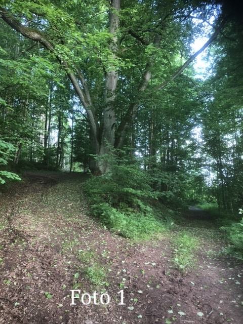 Foto 1