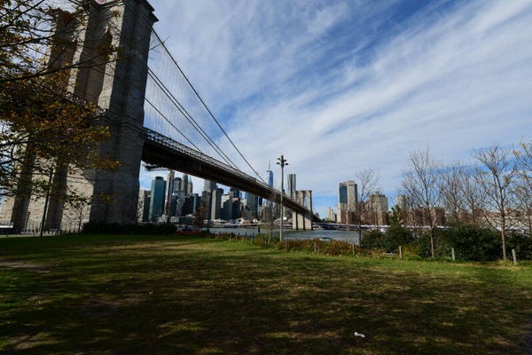 Brookline Bridge