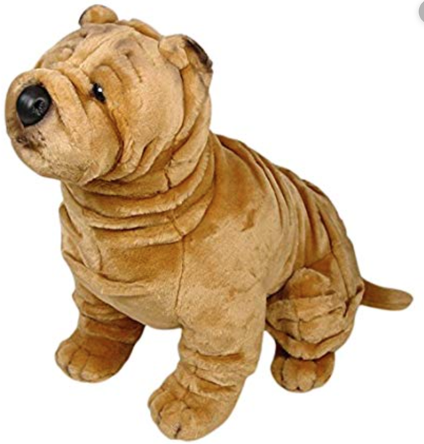 Grote Sharpei