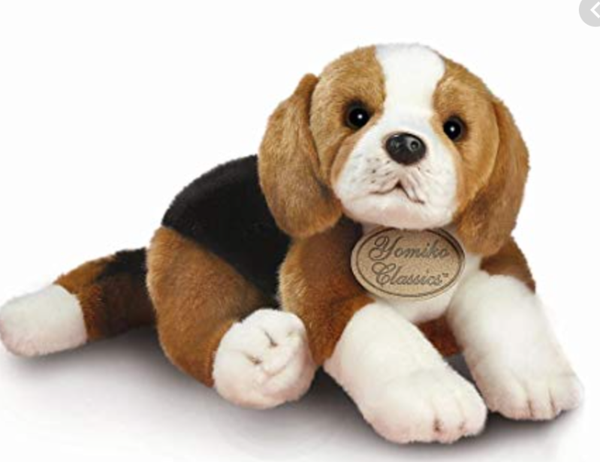 Beagles van RUSS