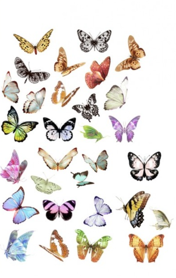 60 kleine vlinderstickers