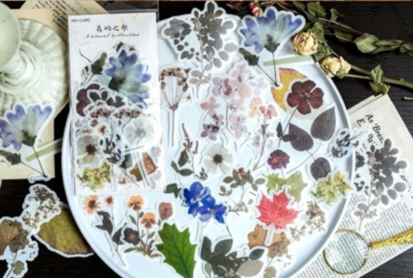 60 stks Velijn Papier Stickers voor Scrapbooking 