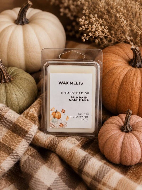 Pumpkin Cashmere – 2.5oz Soy Wax Melts