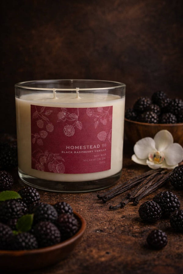 Black Raspberry Vanilla 15oz