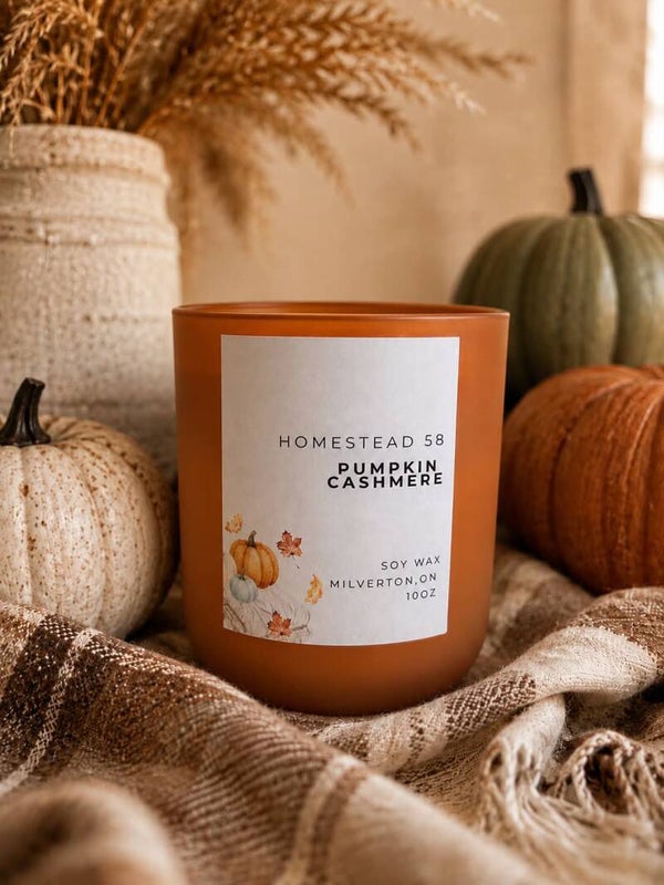 Pumpkin Cashmere | 10oz Soy Candle