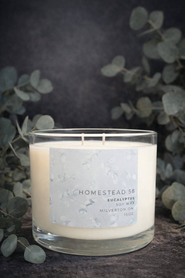 15oz Eucalyptus Soy Candle