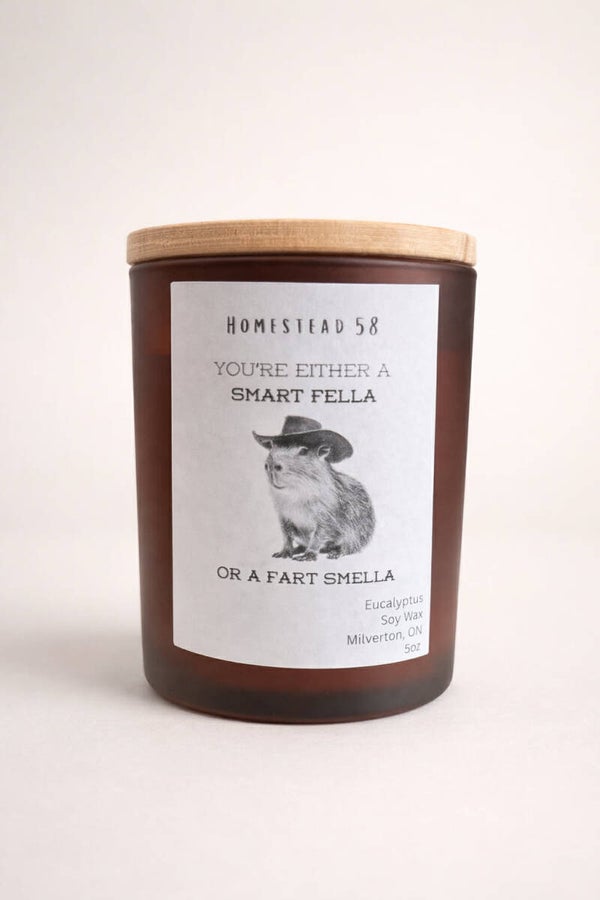 “You’re Either a Smart Fella or a Fart Smella” Soy Candle – Eucalyptus 5oz