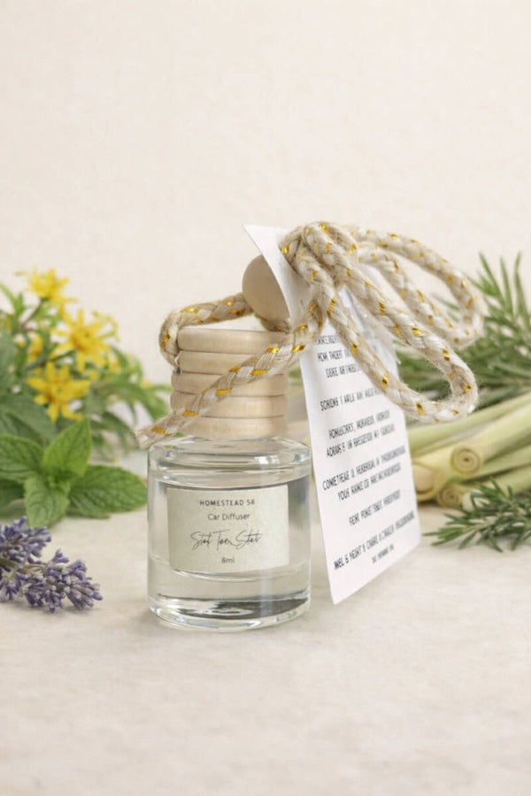 Stop the Stink – Essential Oil Car Diffuser