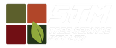 SJM Tree Service Pty Ltd