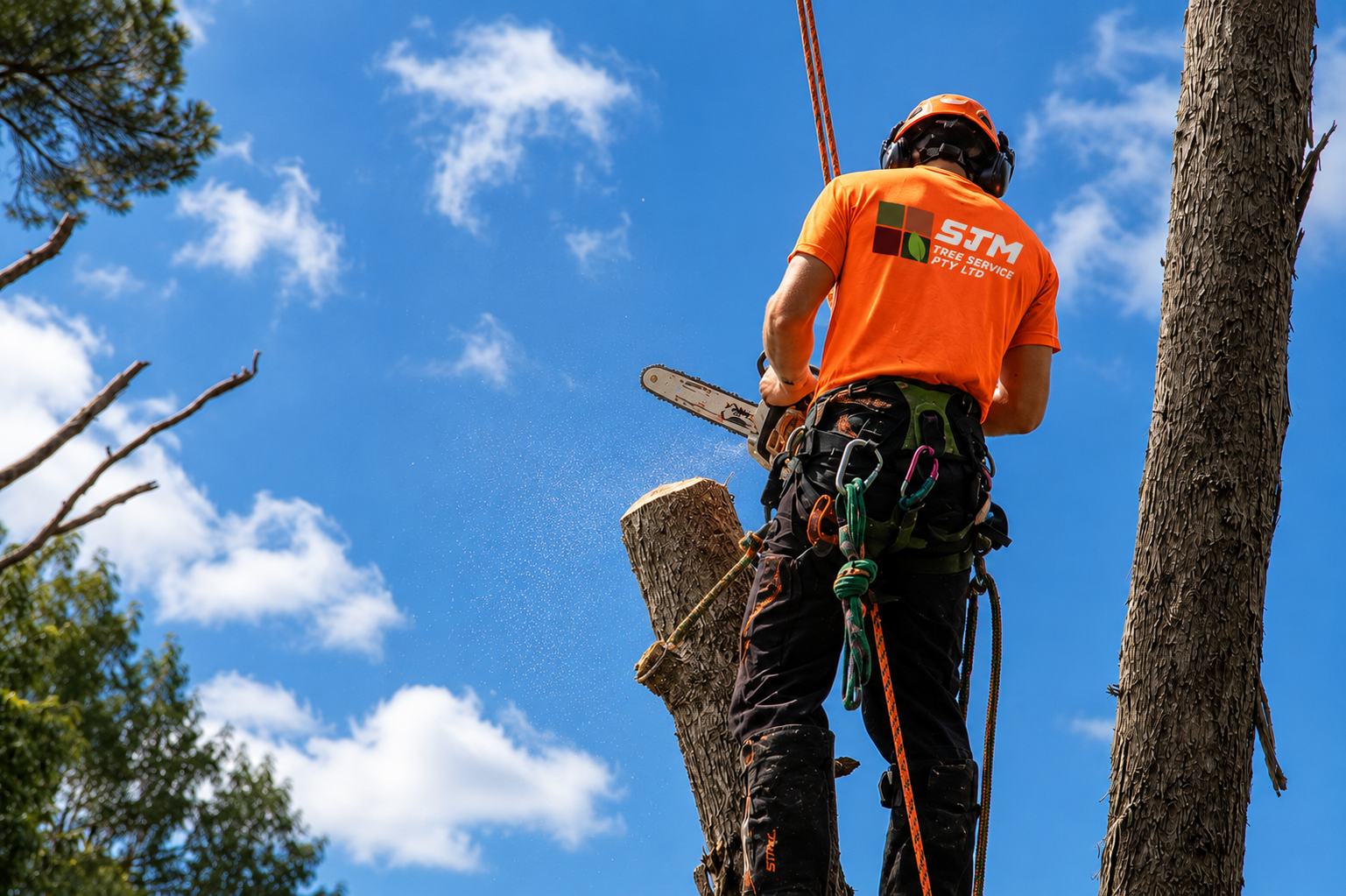 SJM Tree Removal Arborist Yarra Valley