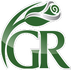Green Rose
