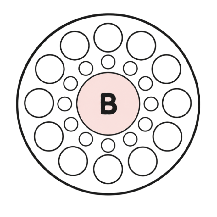 Track-it Wheel RECLAIM