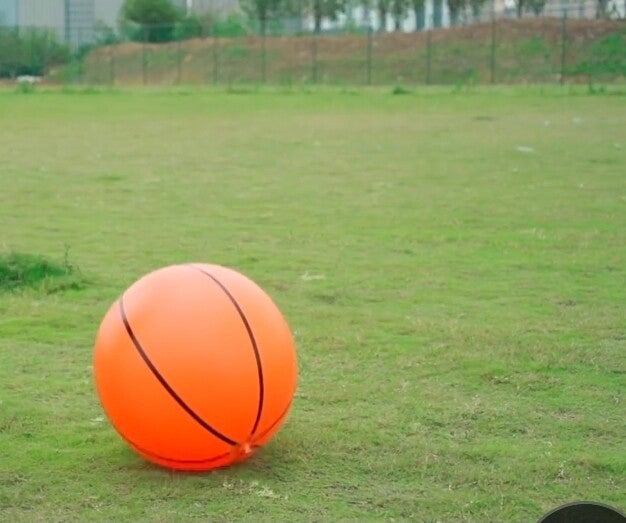 Giant Inflatable Basketball