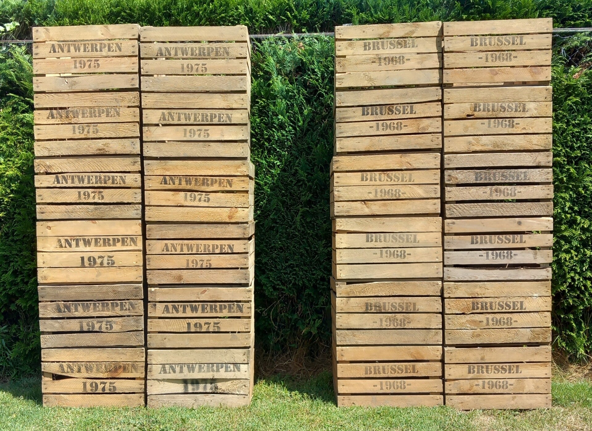 Houten fruitkisten 1ste keus