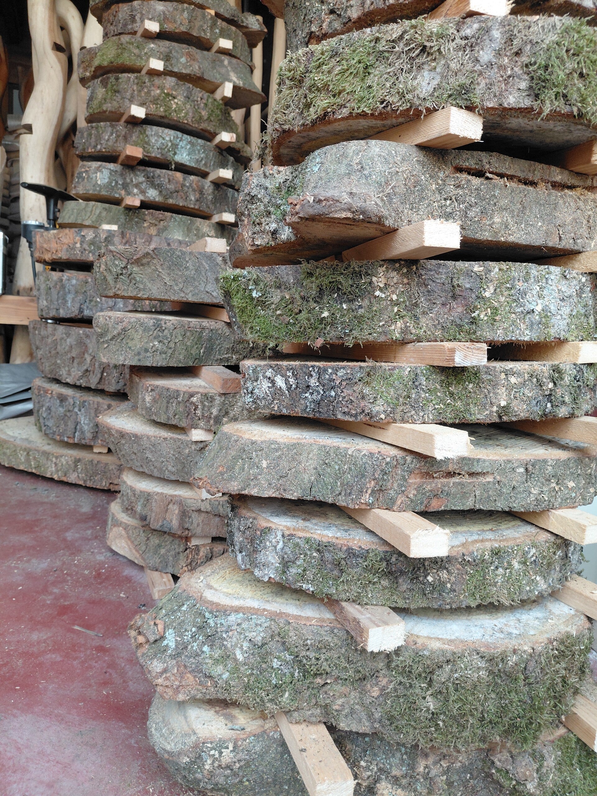 Eiken boomstamschijven. Diameter tussen de 40cm en 50cm