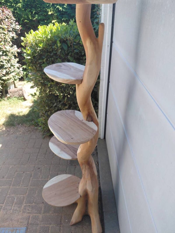Teak kattenpaal met wortelbasis. Muur model