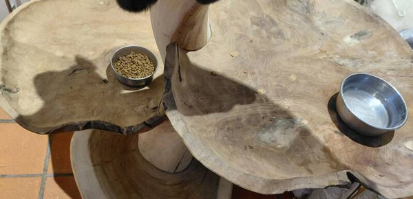 Kattenpaal met 3 verschillende teakschalen.