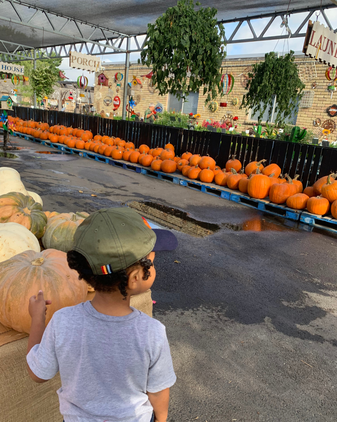 Fall and Halloween guide for DFW families