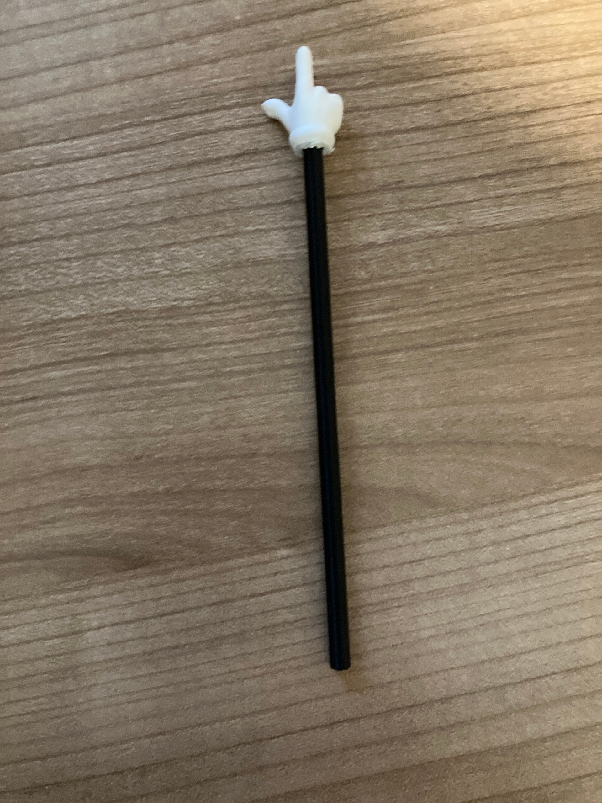 aanwijs stok