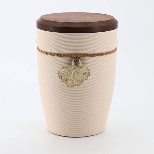102401g Andenken Ginkgo Creme Nuss