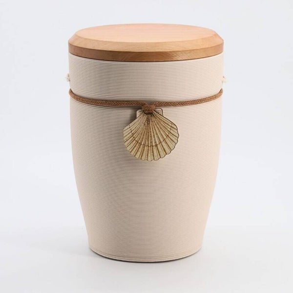 102403m Andenken Muschel Creme (Apfel)