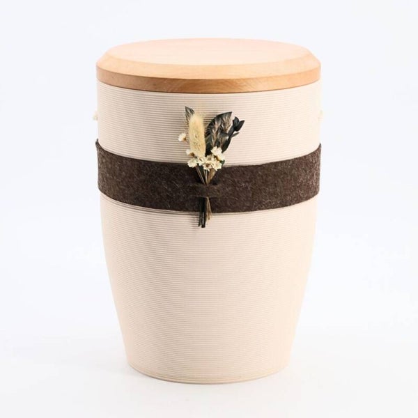 [103203_b] Band der Nähe Braun Creme (Apfel)