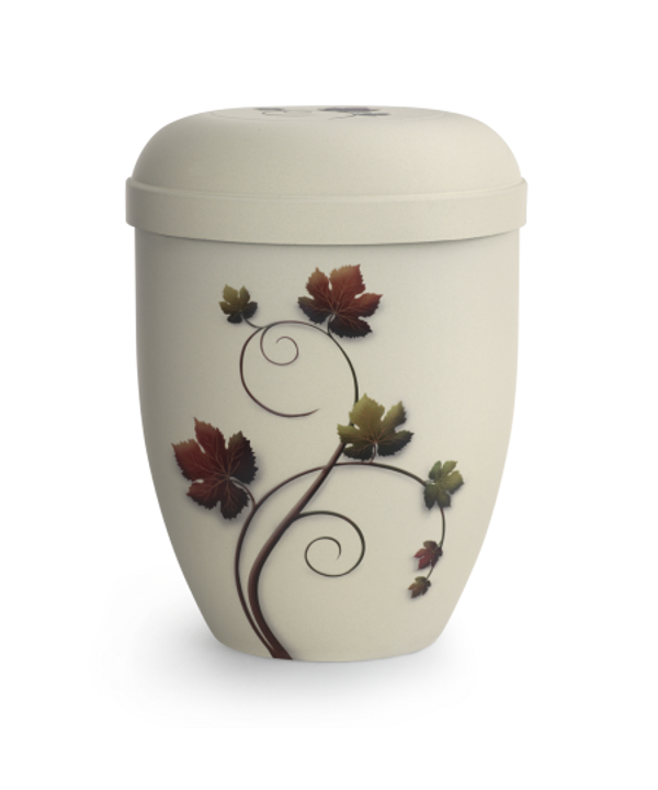 Edition Classic, Samton creme