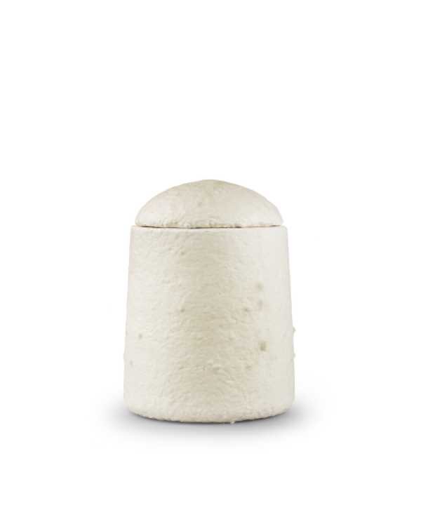 LOOP-500 Edtion Loop, aus organischem Pilzgeflecht und Hanffasern, 0,5 ltr., biol. abbaubar