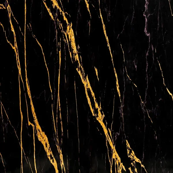 Wandpaneel Ceasar Black- Zwart Goud Hoogglans